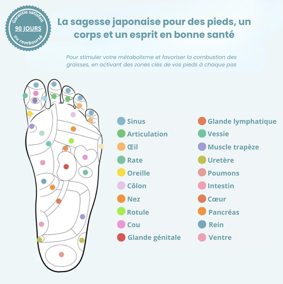 Semelles Magnétiques Stepsia - Brûle graisse