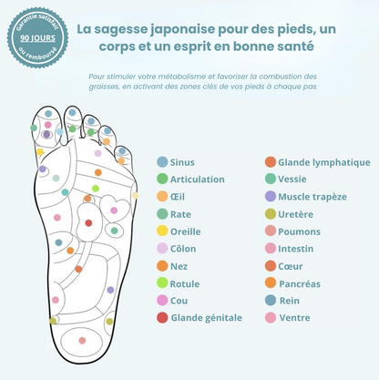 Semelles Magnétiques Stepsia - Brûle graisse